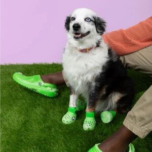 CROCS x BARK BOX DOG CROCS 🐊